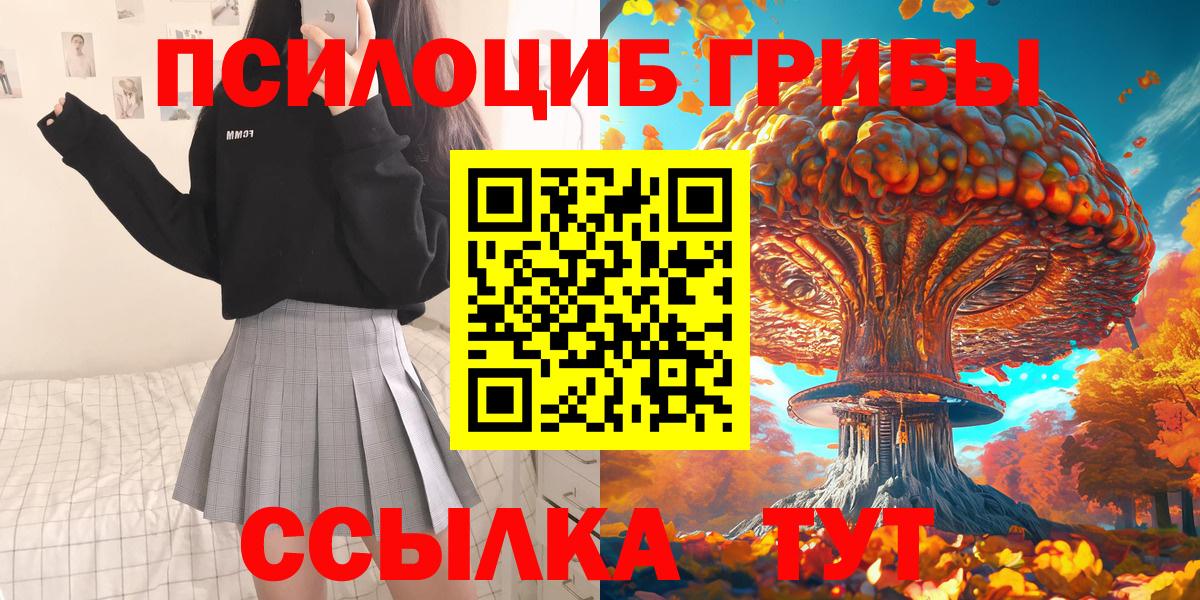 Псилоцибиновые грибы MAGIC MUSHROOMS  купить наркотик  Галлюциногенные грибы Psilocybe  Лесосибирск  Вход с VPN 