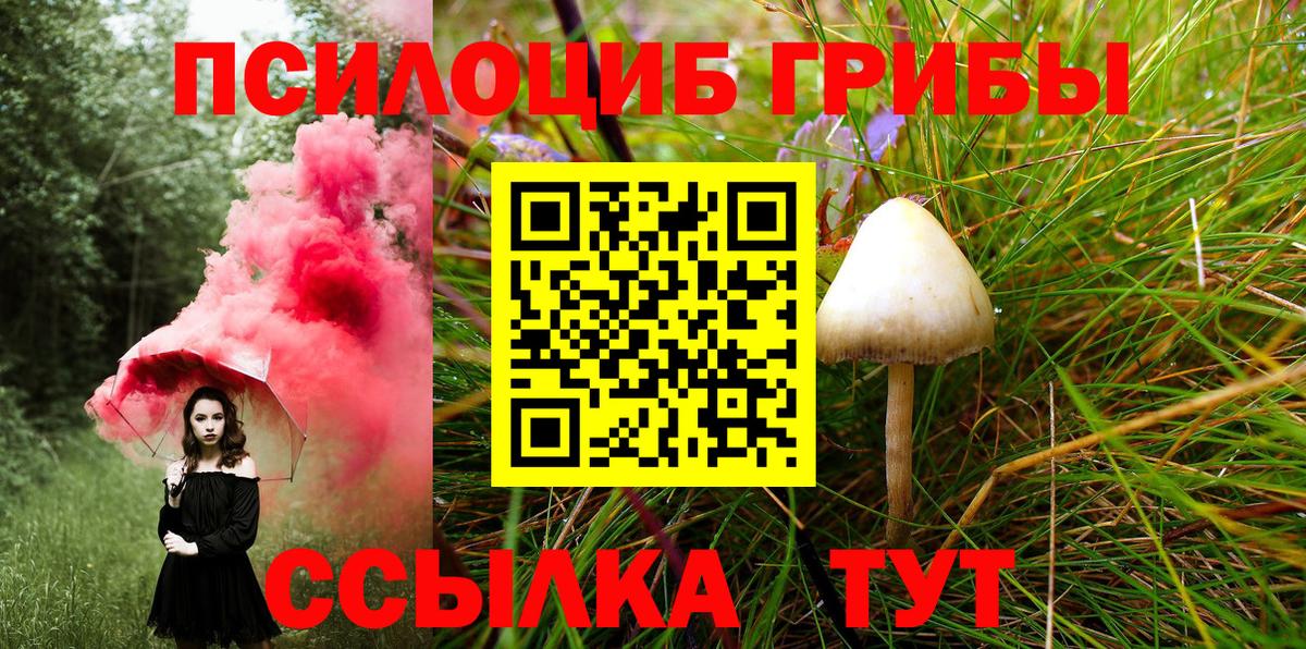 Галлюциногенные грибы прущие грибы Лесосибирск